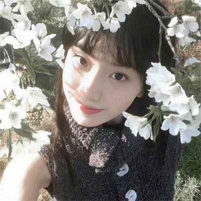 糟糕历史第一季